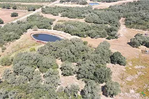 Tbd Danforth Rd, Goliad, TX 77963 - Photo 1