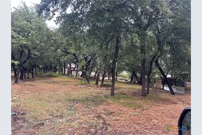 9783 Arroyo Drive, Belton, TX 76513 - Photo 3
