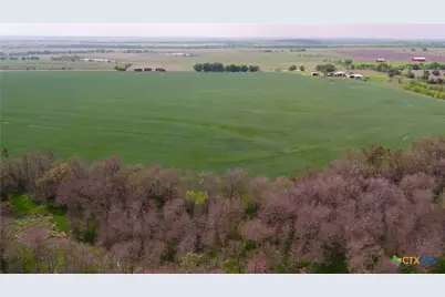 00001C County Road 110, Buckholts, TX 76518 - Photo 9