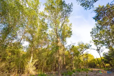 12424 Red Hill Road, Hearne, TX 77859 - Photo 13