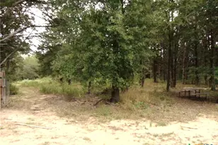 113 N County Road 681, Teague, TX 75860 - Photo 31