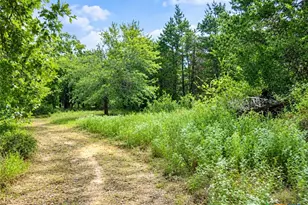 113 N County Road 681, Teague, TX 75860 - Photo 35