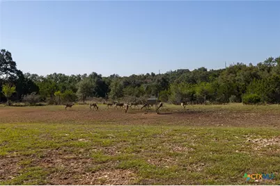 260 Mexican Hat Drive, Spring Branch, TX 78070 - Photo 47