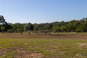 260 Mexican Hat Dr, Spring Branch, TX 78070 - Photo 47