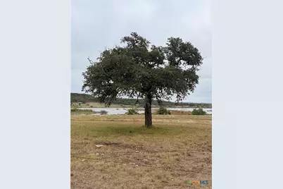 4401 Potters Creek Road, Canyon Lake, TX 78133 - Photo 3