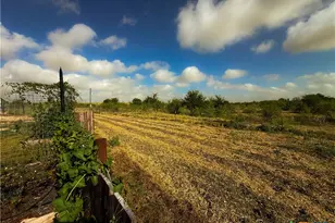 1028 Co Rd 108, Buckholts, TX 76518 - Photo 13