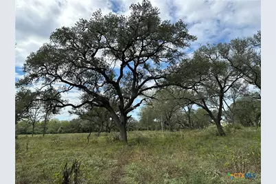 Tract 4 Regan, Victoria, TX 77905 - Photo 7