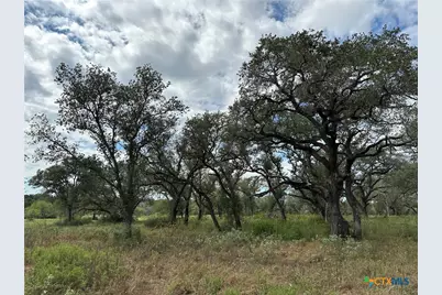 Tract 4 Regan, Victoria, TX 77905 - Photo 1