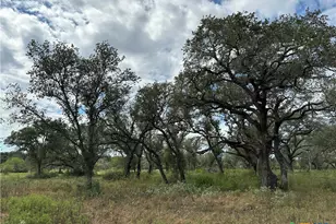 Tract 4 Regan, Victoria, TX 77905 - Photo 1