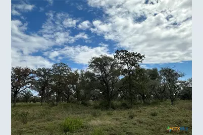 Tract 4 Regan, Victoria, TX 77905 - Photo 5