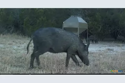 2555 County Road 1139, Lampasas, TX 76550 - Photo 37