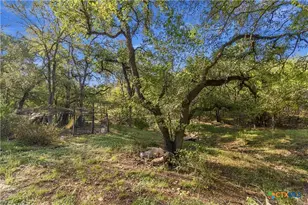 205 Homestead Rd, Kyle, TX 78640 - Photo 29