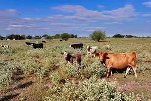 000 Parsons Rd, Victoria, TX 77904 - Photo 29