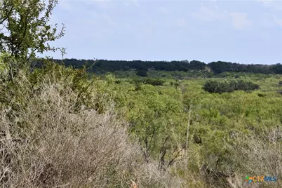 1722 W Fm 574, Mullin, TX 76864 - Photo 33