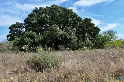 1722 W Fm 574, Mullin, TX 76864 - Photo 15