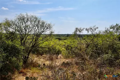 1722 W Fm 574, Mullin, TX 76864 - Photo 29