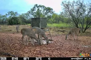 1722 W Fm 574, Mullin, TX 76864 - Photo 7