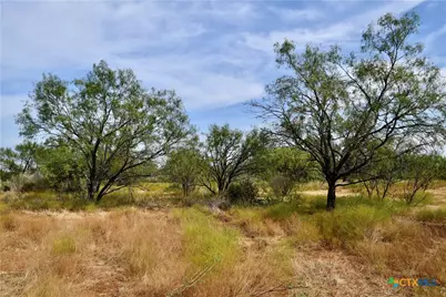 1722 W Fm 574, Mullin, TX 76864 - Photo 19