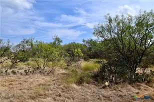 1722 W Fm 574, Mullin, TX 76864 - Photo 27