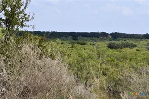 1722 W Fm 574, Mullin, TX 76864 - Photo 33