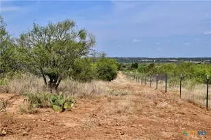 1722 W Fm 574, Mullin, TX 76864 - Photo 25