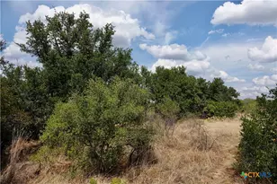 1722 W Fm 574, Mullin, TX 76864 - Photo 35