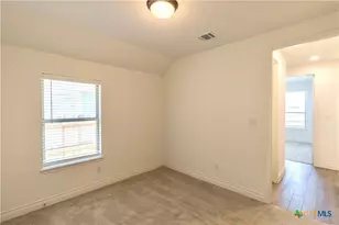311 Balaton Lake, New Braunfels, TX 78130 - Photo 11