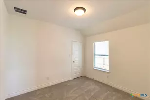 311 Balaton Lake, New Braunfels, TX 78130 - Photo 19