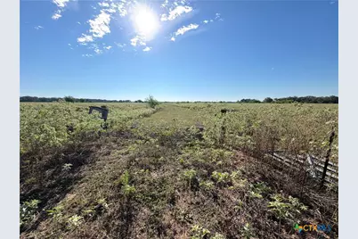 1665 Garrett Road, Yoakum, TX 77995 - Photo 23