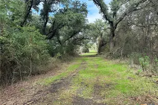 17800 E Fm 2268, Holland, TX 76534 - Photo 7