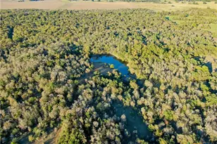 17800 E Fm 2268, Holland, TX 76534 - Photo 19