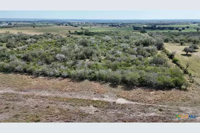 4444 County Road 343, Kenedy, TX 78119 - Photo 39