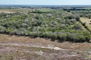 4444 County Rd 343, Kenedy, TX 78119 - Photo 39