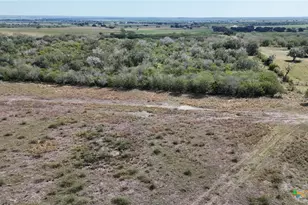 4444 County Rd 343, Kenedy, TX 78119 - Photo 31