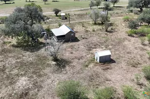4444 County Rd 343, Kenedy, TX 78119 - Photo 19