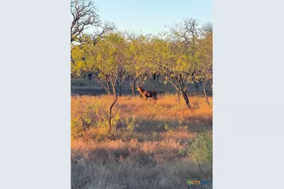 2265 County Road 106, Purmela, TX 76566 - Photo 33