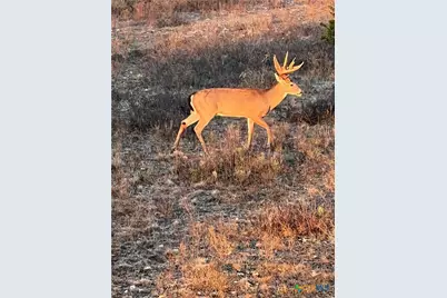 2265 County Road 106, Purmela, TX 76566 - Photo 27