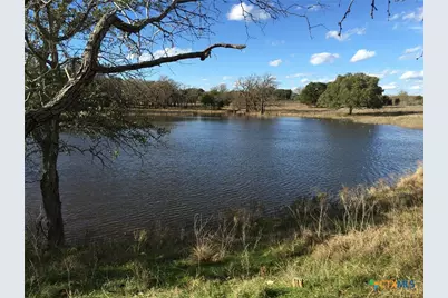 2265 County Road 106, Purmela, TX 76566 - Photo 3
