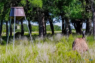 2265 Co Rd 106, Purmela, TX 76566 - Photo 9