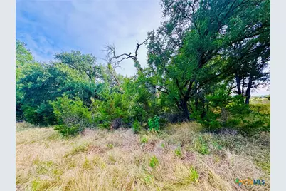 8365 Fm 2412, Gatesville, TX 76528 - Photo 37