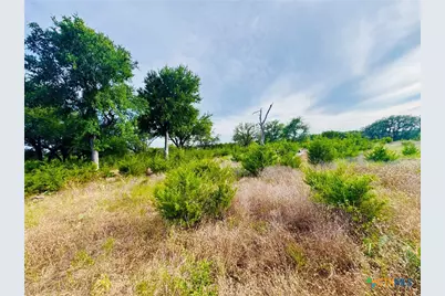 8365 Fm 2412, Gatesville, TX 76528 - Photo 39