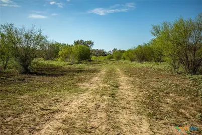 1116 Earl Williams Road, Yorktown, TX 77954 - Photo 23
