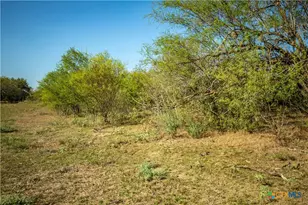 1116 Earl Williams Rd, Yorktown, TX 77954 - Photo 25