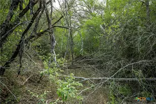 1116 Earl Williams Rd, Yorktown, TX 77954 - Photo 41