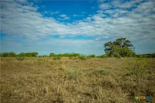 1116 Earl Williams Rd, Yorktown, TX 77954 - Photo 29