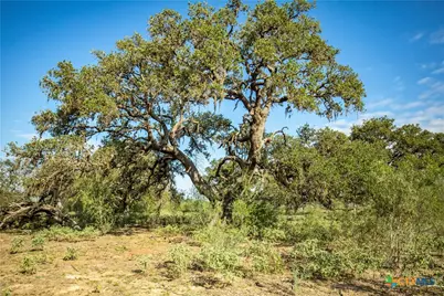 1116 Earl Williams Road, Yorktown, TX 77954 - Photo 15