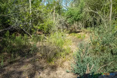 1116 Earl Williams Road, Yorktown, TX 77954 - Photo 21