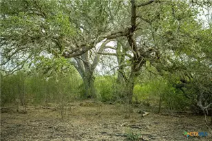 1116 Earl Williams Rd, Yorktown, TX 77954 - Photo 35