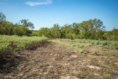 1116 Earl Williams Road, Yorktown, TX 77954 - Photo 19