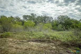 1116 Earl Williams Rd, Yorktown, TX 77954 - Photo 39